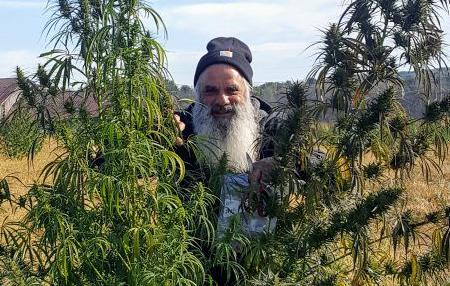 What is the Cannabis College of America?